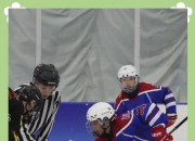 LOL赛事-冰球战队状态火热，誓夺总冠军