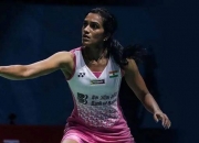 -关于法国队碾压丹麦队，辛杜惊艳四座的信息