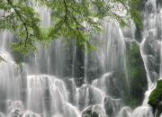 英雄联盟总决赛门票-黑马启示录，突尼斯用闪电反击与三中卫体系全面压制埃及的战术革命