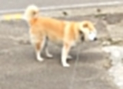 英雄联盟总决赛时间-布克单场42分创纪录之夜，快船季前赛力克北京首钢