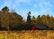 英雄联盟总决赛赛程-生死五厘米，新疆队惊天逆转背后的关键先生保罗