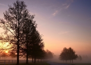 -跨界巅峰对决，辽宁队斩落NBA猛龙，米切尔稳定输出诠释全能战士