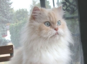 英雄联盟总决赛赛程-首先，我们来扩展思维，拟定一个具有唯一性、故事性和深度的标题