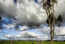 西雅图海湾者队长激励全队，挑战强敌士气高昂