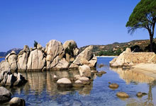 西雅图海湾者队长激励全队，挑战强敌士气高昂