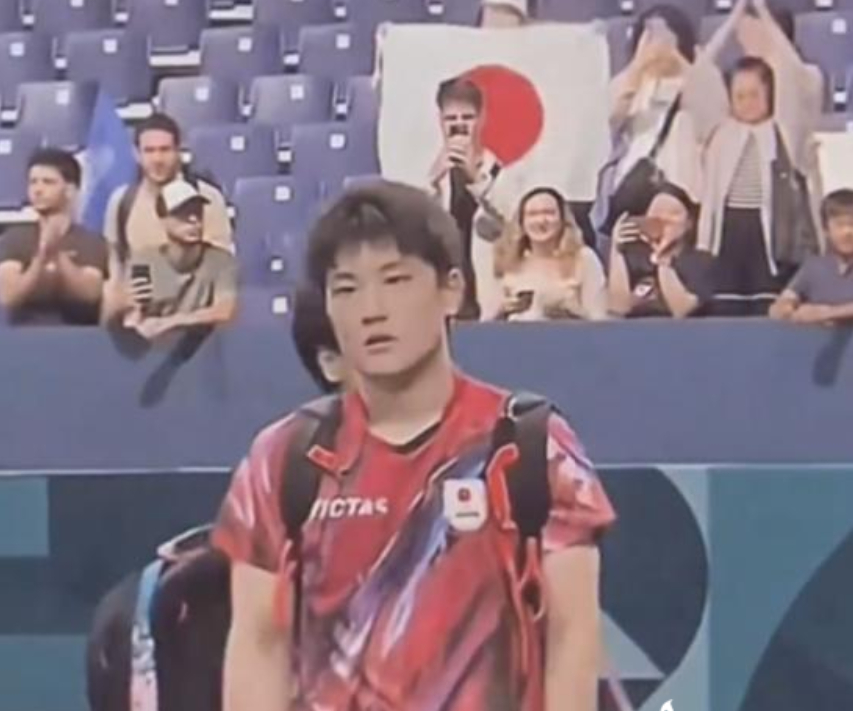 法国队险胜日本队，张本智和统治全场的简单介绍