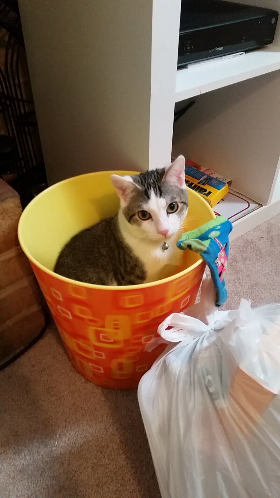 跨洋对决绽放友谊之光，霍勒迪万次传球铸就里程碑