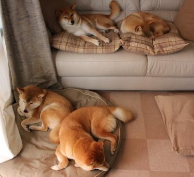 关键先生凯塞多，巴西决胜局惊险带走尼日利亚，书写唯一性传奇