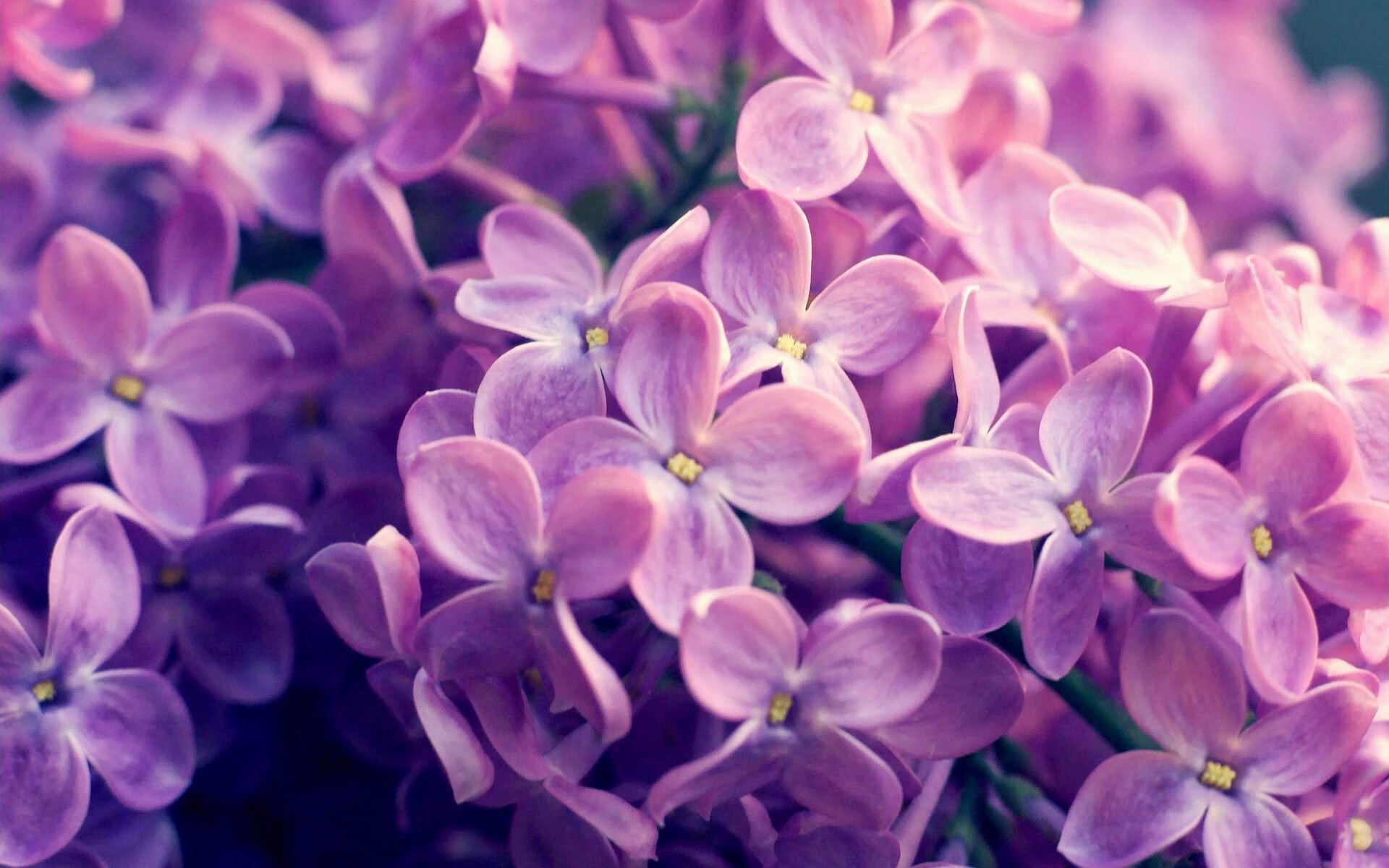 宿命对决！篮网太阳鏖战至最后一秒，福克斯诡异绝杀改写剧本