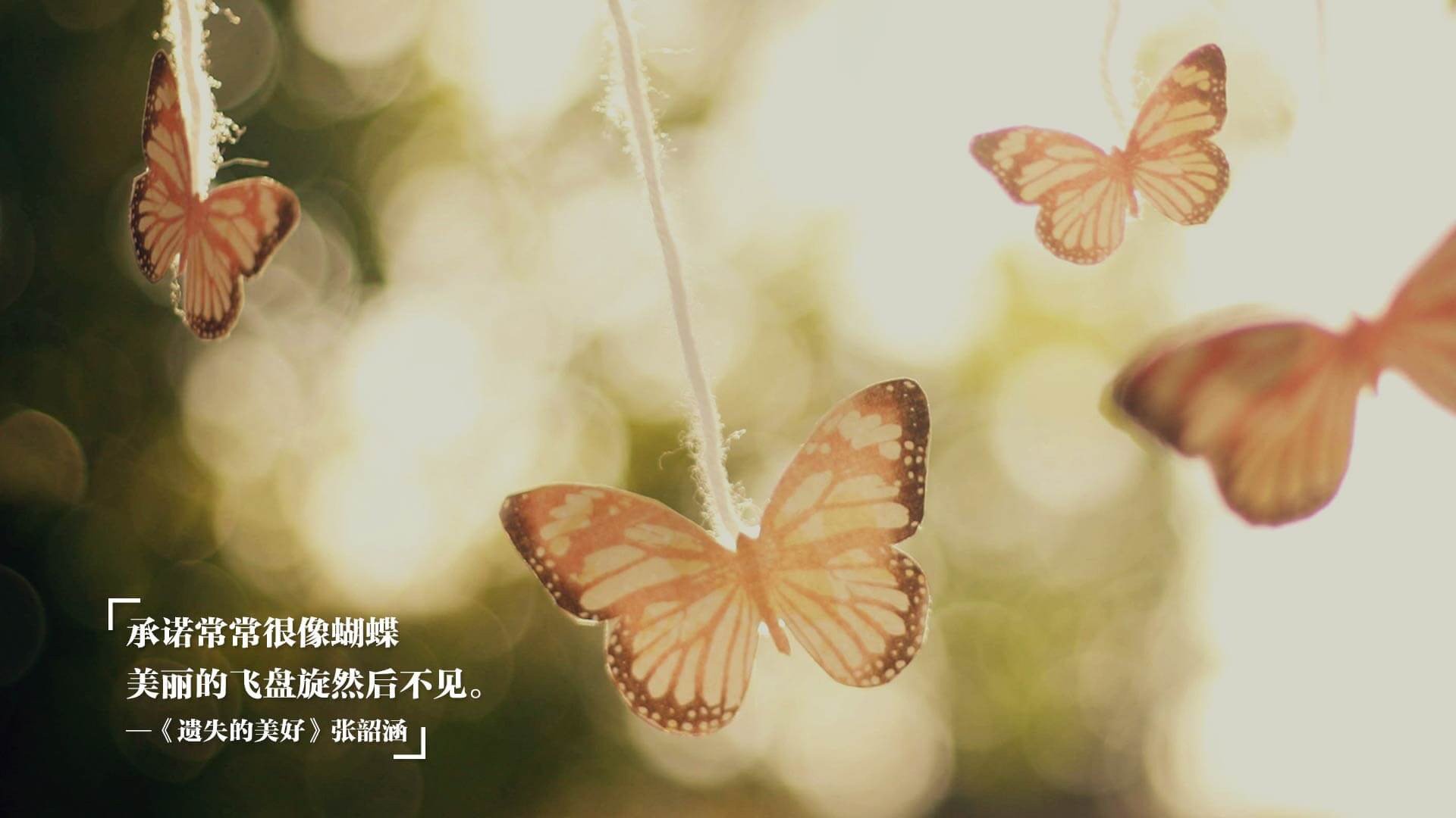 赛道与草场的双线对决，F1揭幕战的精密博弈，洪都拉斯的铁血逆袭