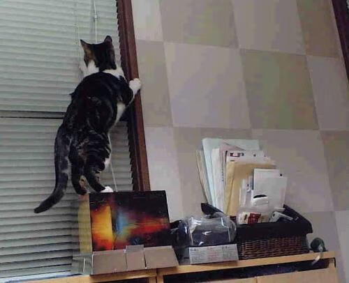 赛点，哈弗茨的杀死悬念与厄瓜多尔的末节奇迹