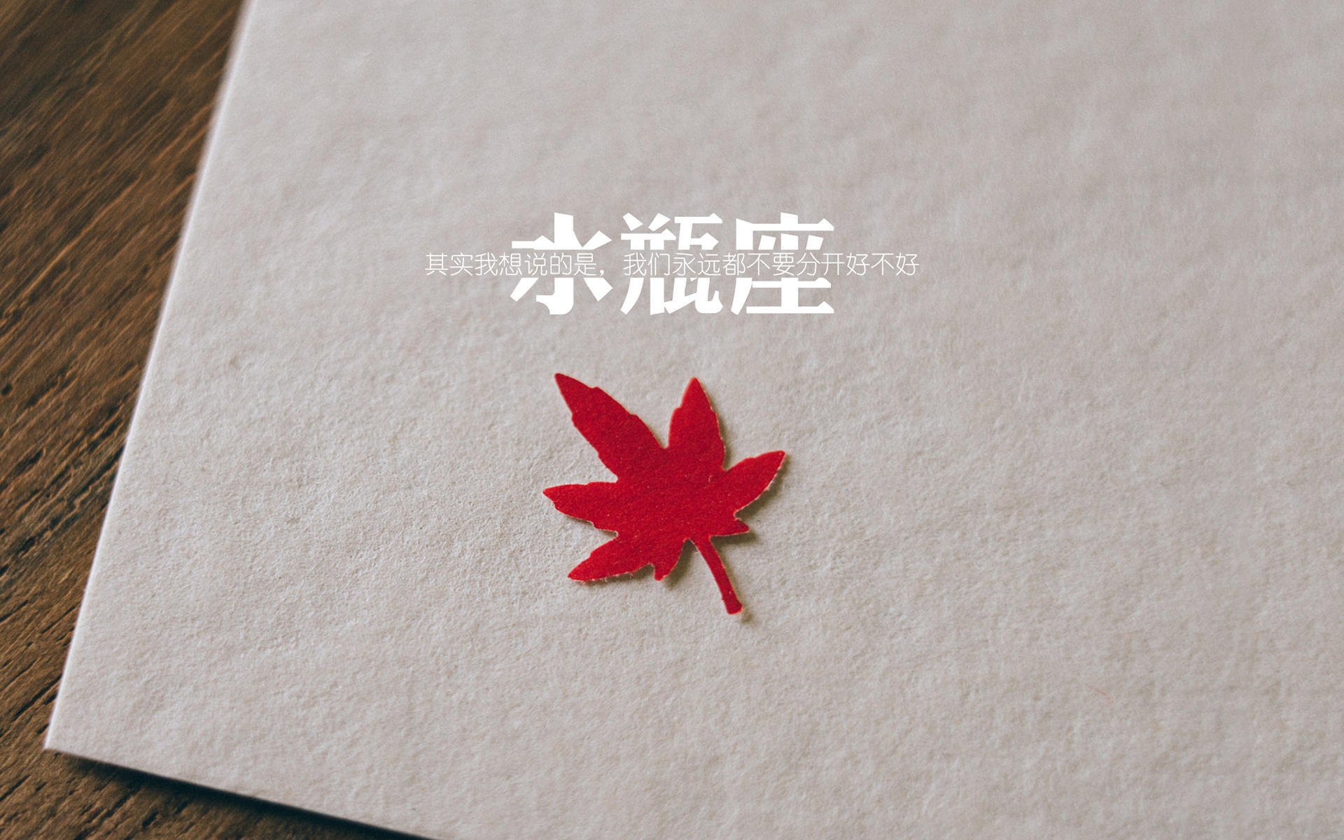 引擎与球鞋的共振—当F1街道赛之夜遇见利拉德时刻