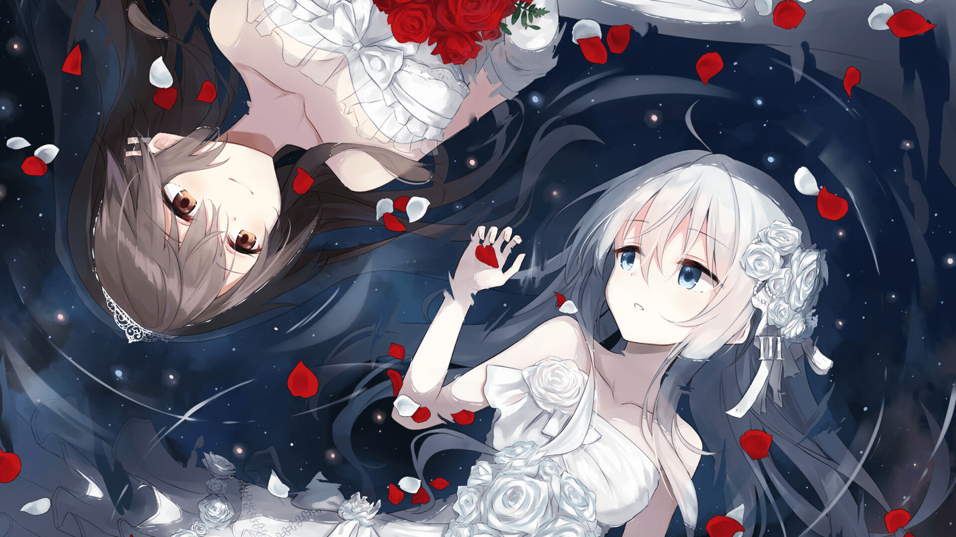 绝对统治，当班凯罗的幻梦，在阿布扎比之夜被物理法则击碎