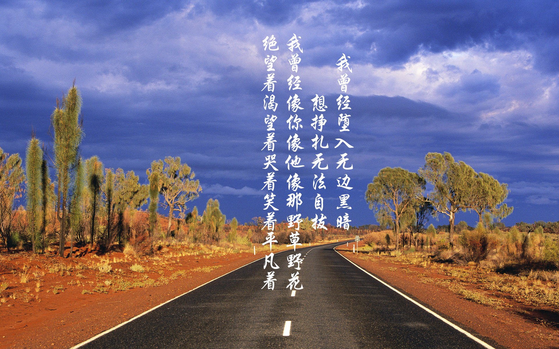 骑士屠龙夜,文班亚马在2026写下未来已来